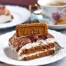 Lotus Biscoff Karamelize Bisküvi 250gr X 10 Adet - Koli