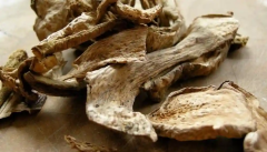 Kuru Porçini Mantarı 1Kg