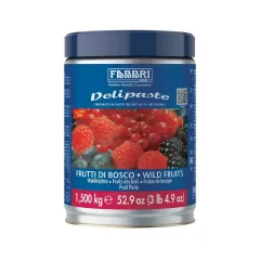 Fabbri Delipaste Yabani Meyveler 1,5Kg