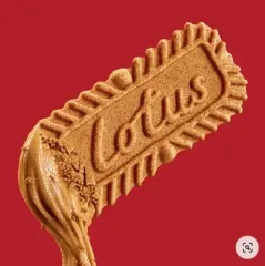 Lotus Biscoff Spread Krema 1600gr